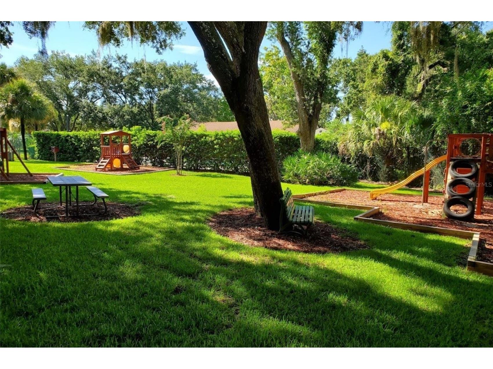 344 Cascade Lane Palm Harbor FL 34684 TB8474280 image68