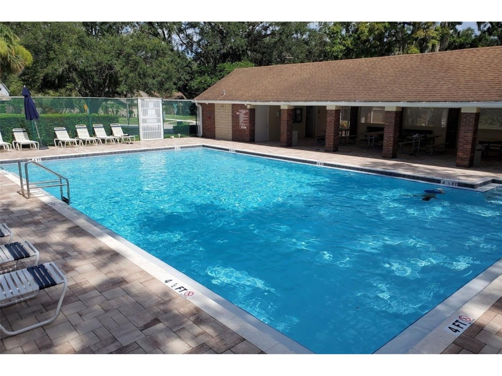 344 Cascade Lane Palm Harbor FL 34684 TB8474280 image69