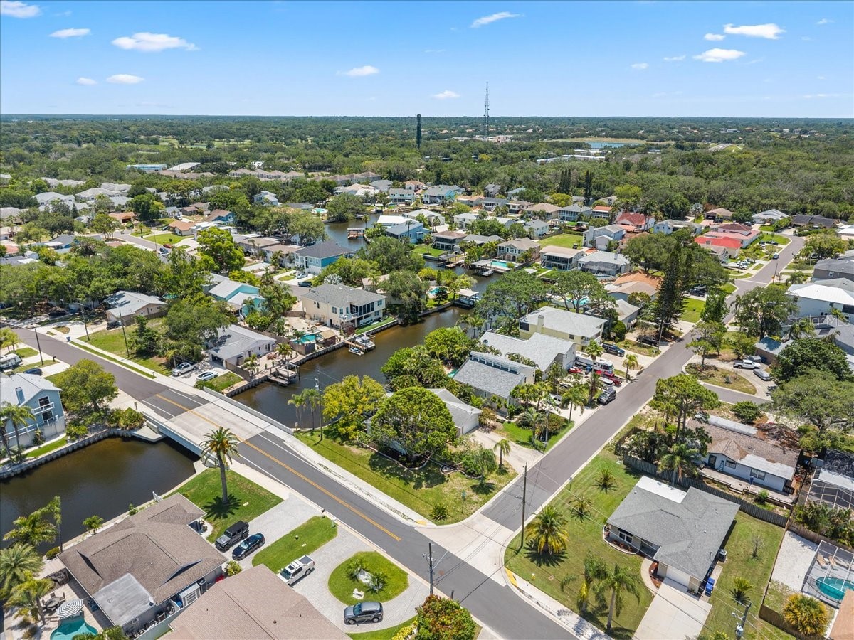 344 Crosswinds Drive Palm Harbor FL 34683 TB8507768 image44