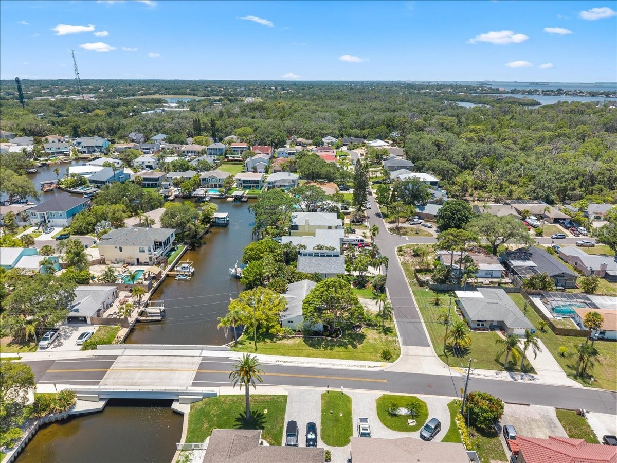 344 Crosswinds Drive Palm Harbor FL 34683 TB8507768 image45