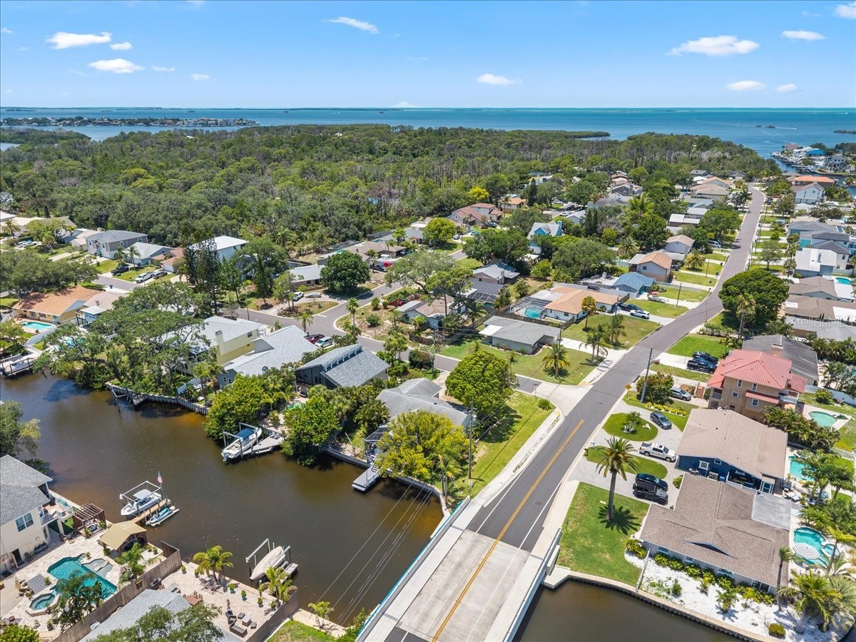 344 Crosswinds Drive Palm Harbor FL 34683 TB8507768 image46
