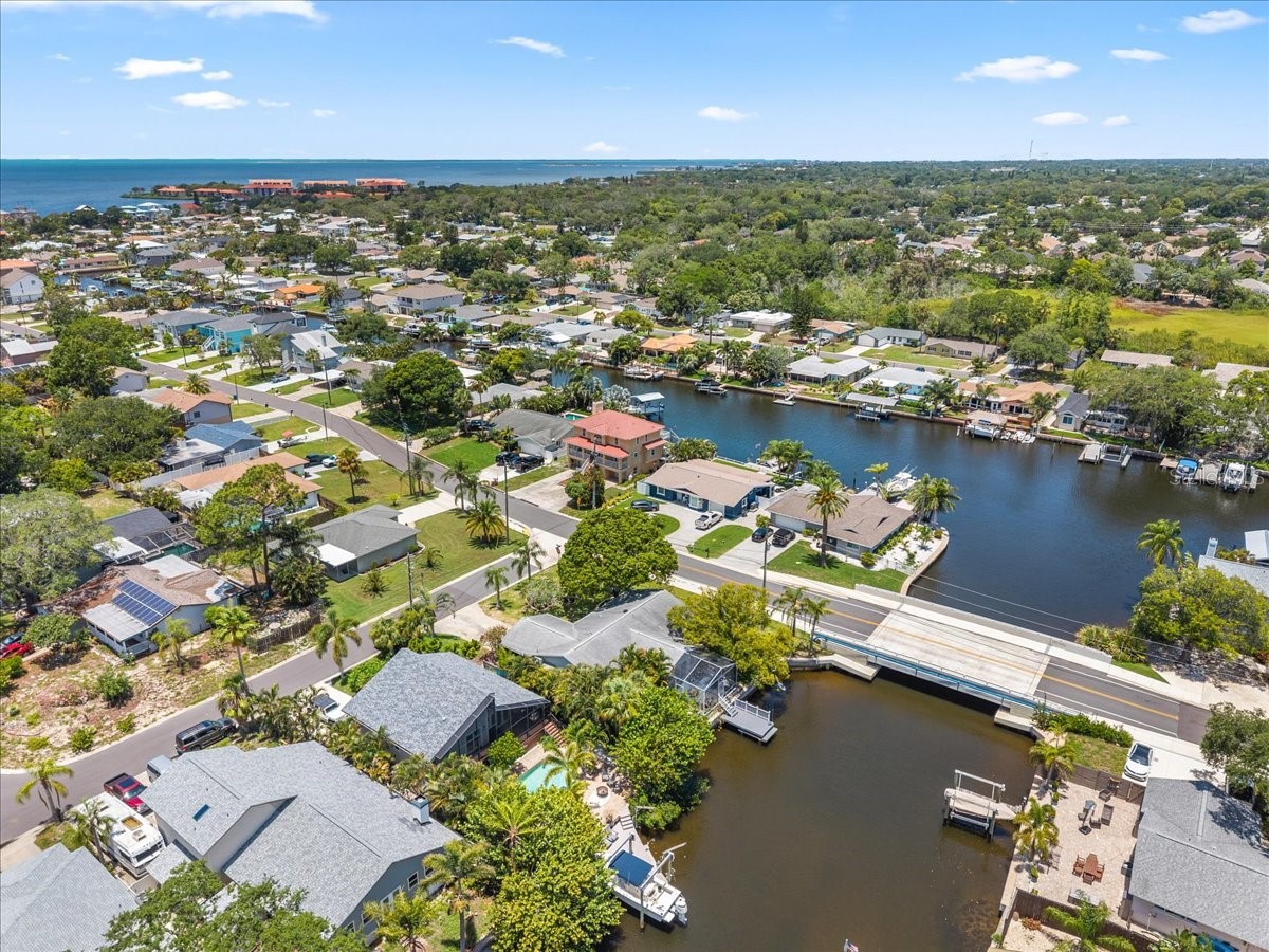 344 Crosswinds Drive Palm Harbor FL 34683 TB8507768 image47