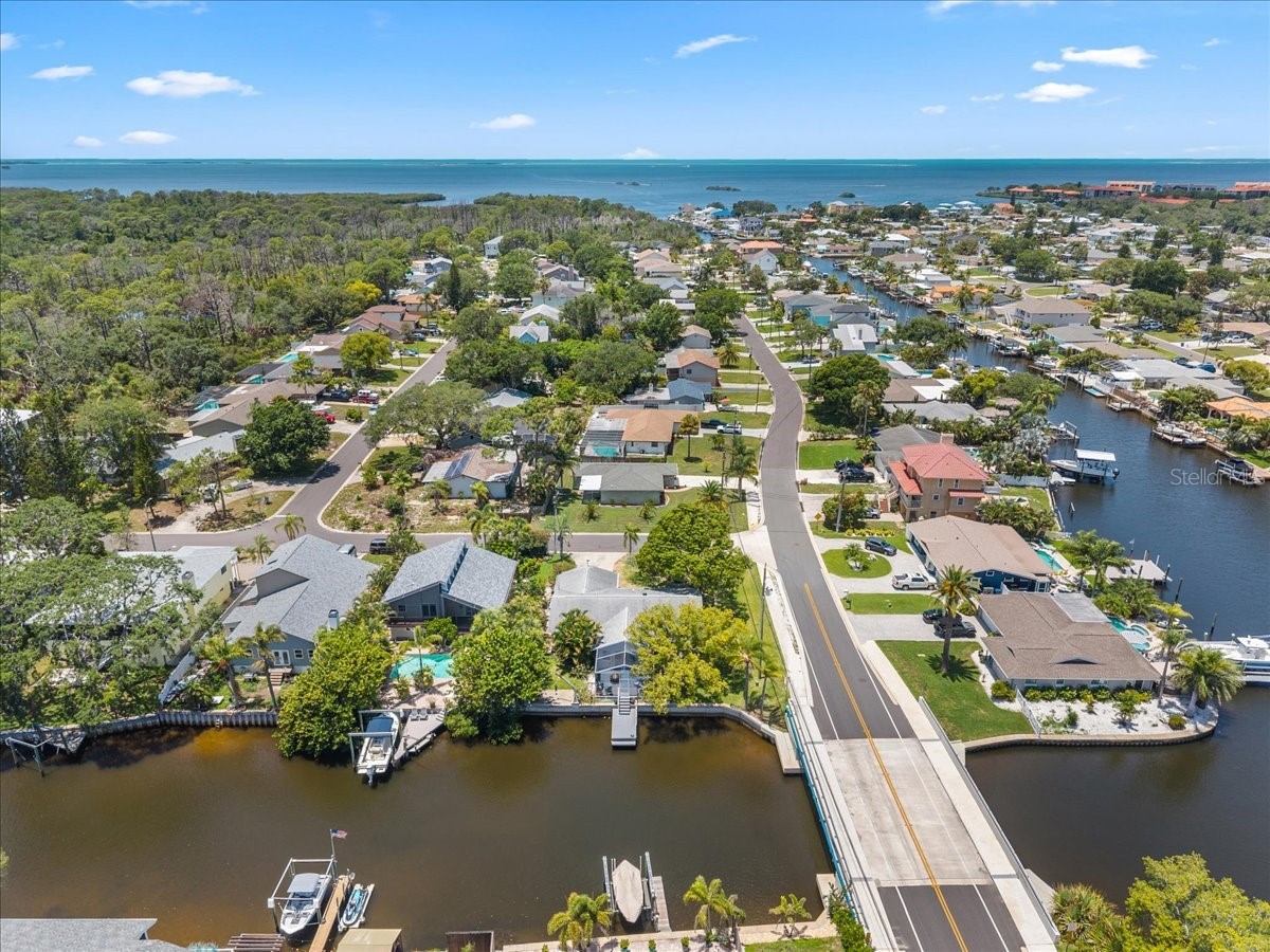 344 Crosswinds Drive Palm Harbor FL 34683 TB8507768 image48