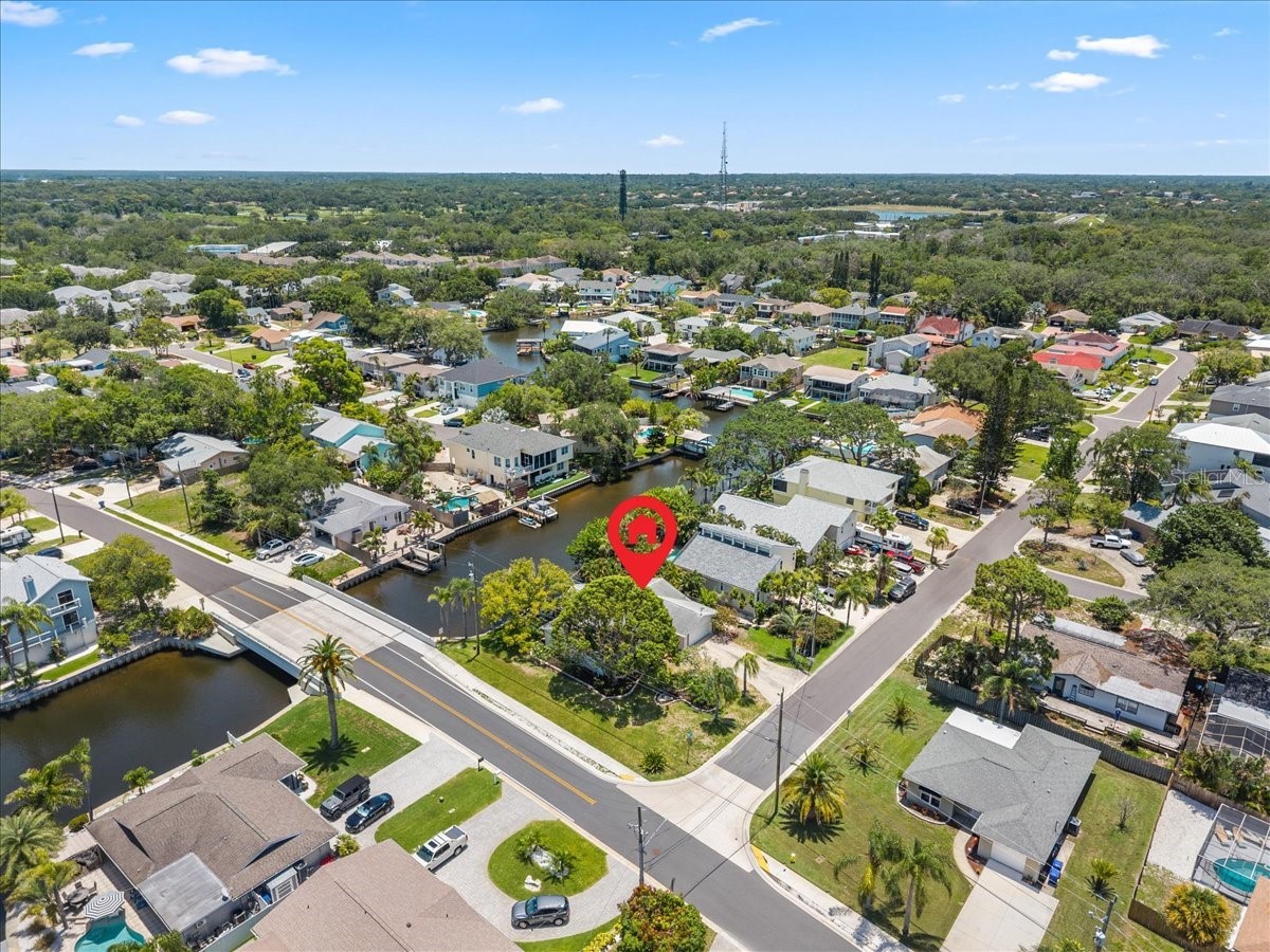 344 Crosswinds Drive Palm Harbor FL 34683 TB8507768 image52