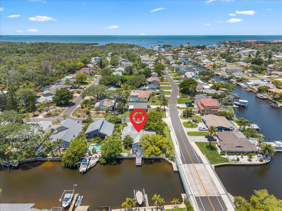 344 Crosswinds Drive Palm Harbor FL 34683 TB8507768 image55