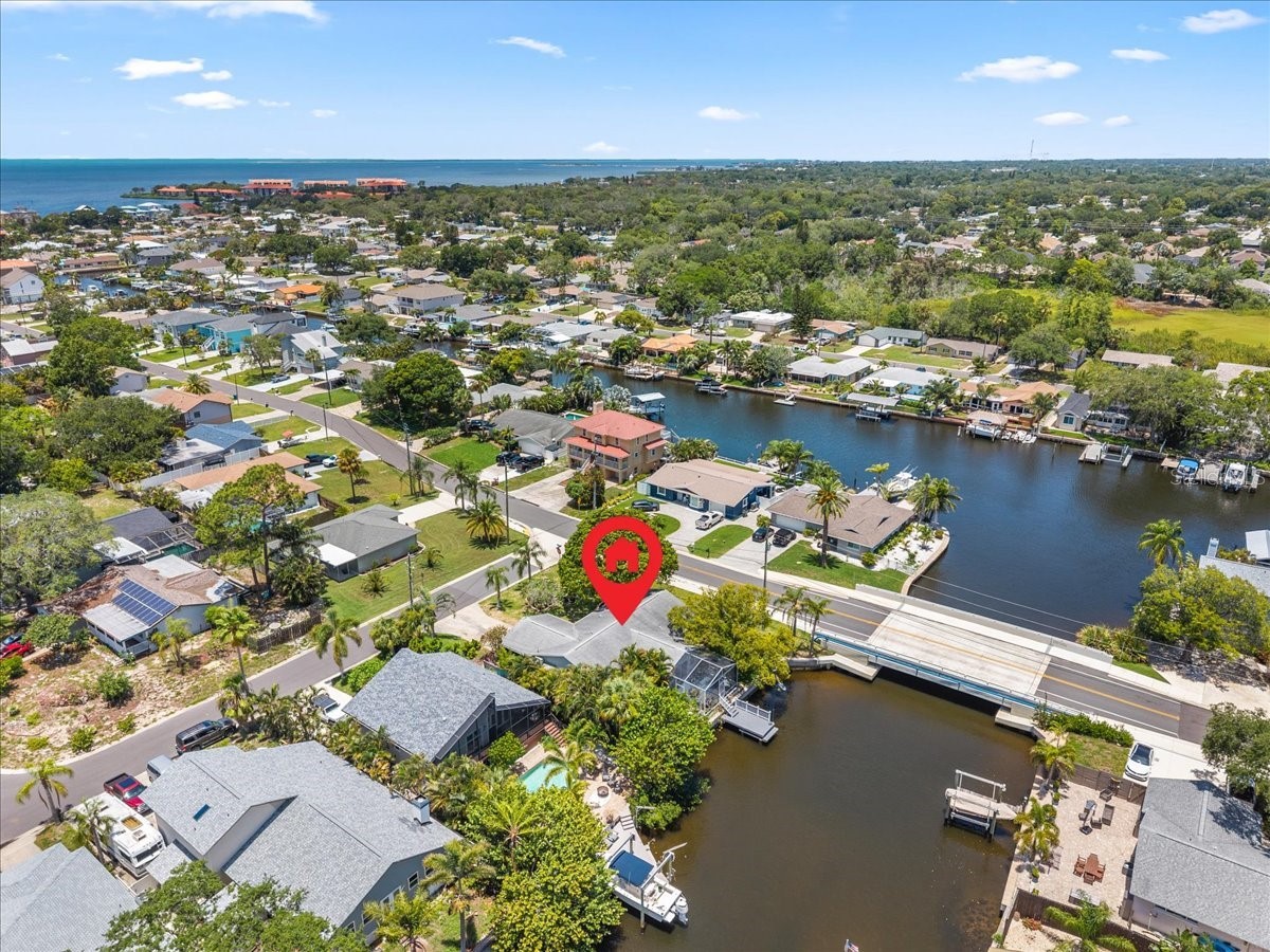 344 Crosswinds Drive Palm Harbor FL 34683 TB8507768 image56
