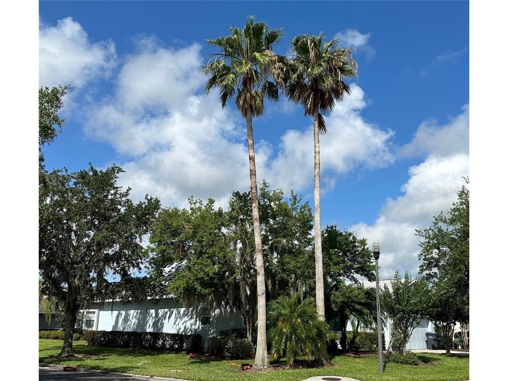 344 Lake Butler Drive Poinciana FL 34759 P4925156 image1