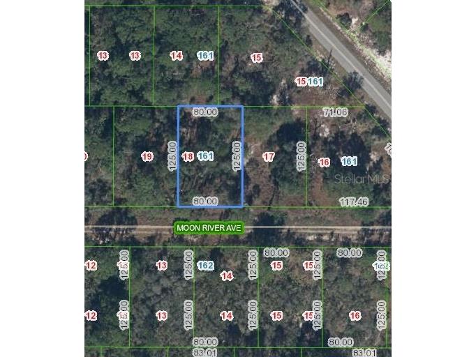 344 Moon River Avenue Lake Placid FL 33852 OM676843 image1