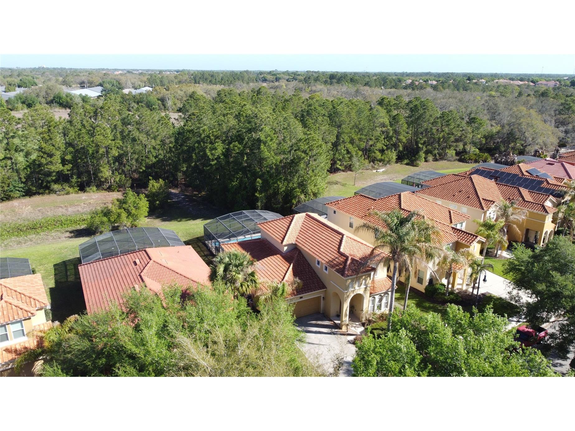 344 Orange Cosmos Boulevard Davenport FL 33837 S5146847 image71