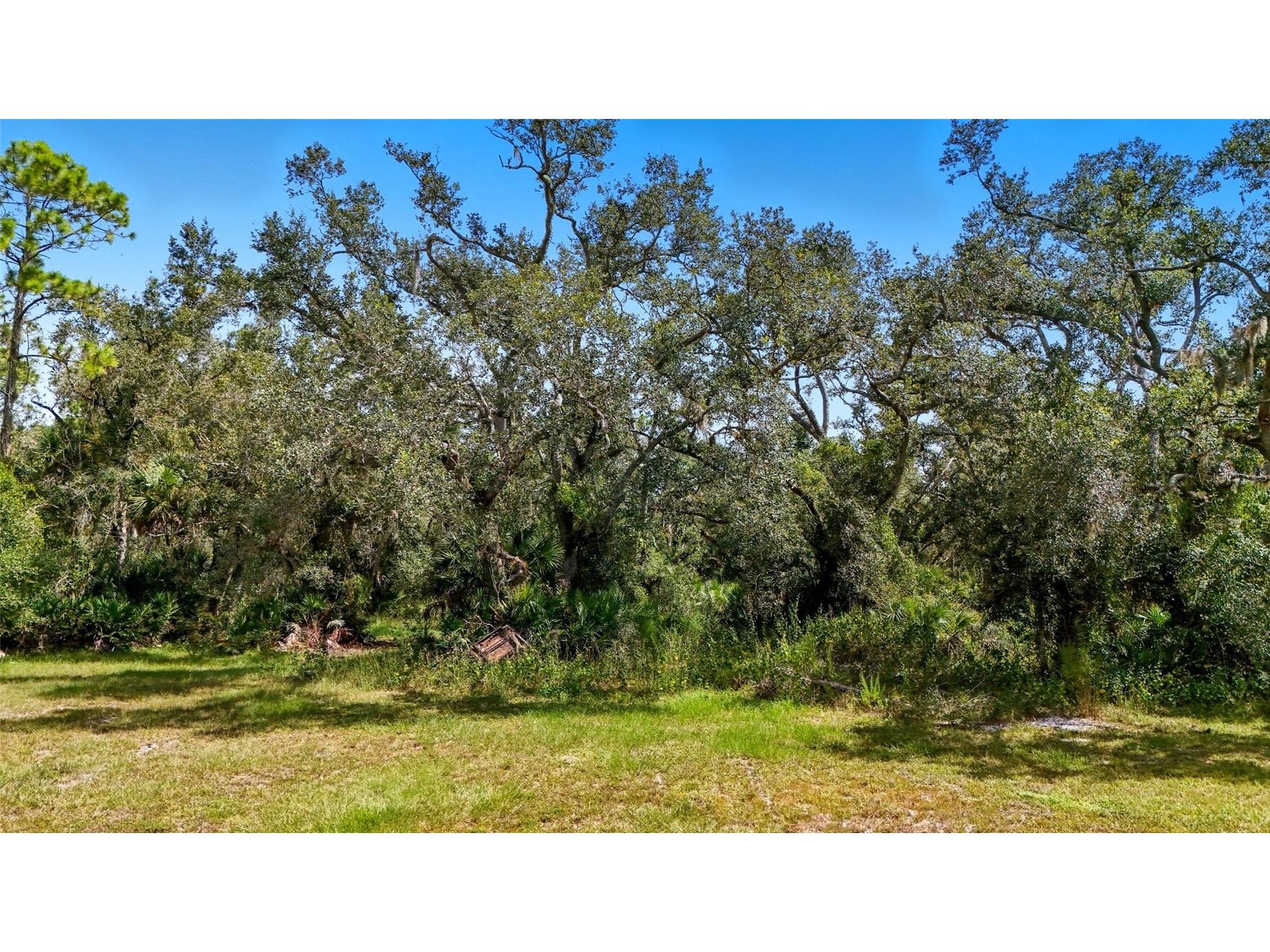 344 S Moon Drive Venice FL 34292 C7515786 image6