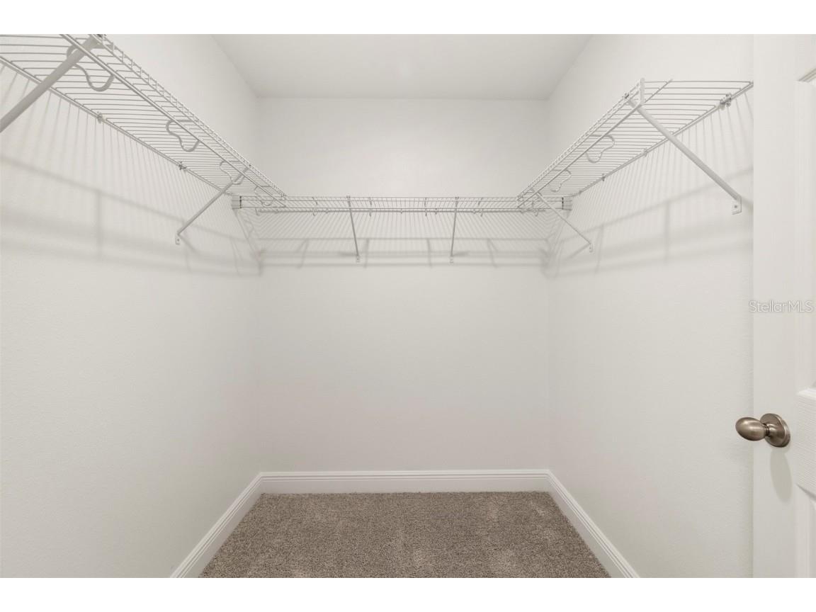 344 Switchgrass Loop Minneola FL 34715 O6312325 image13