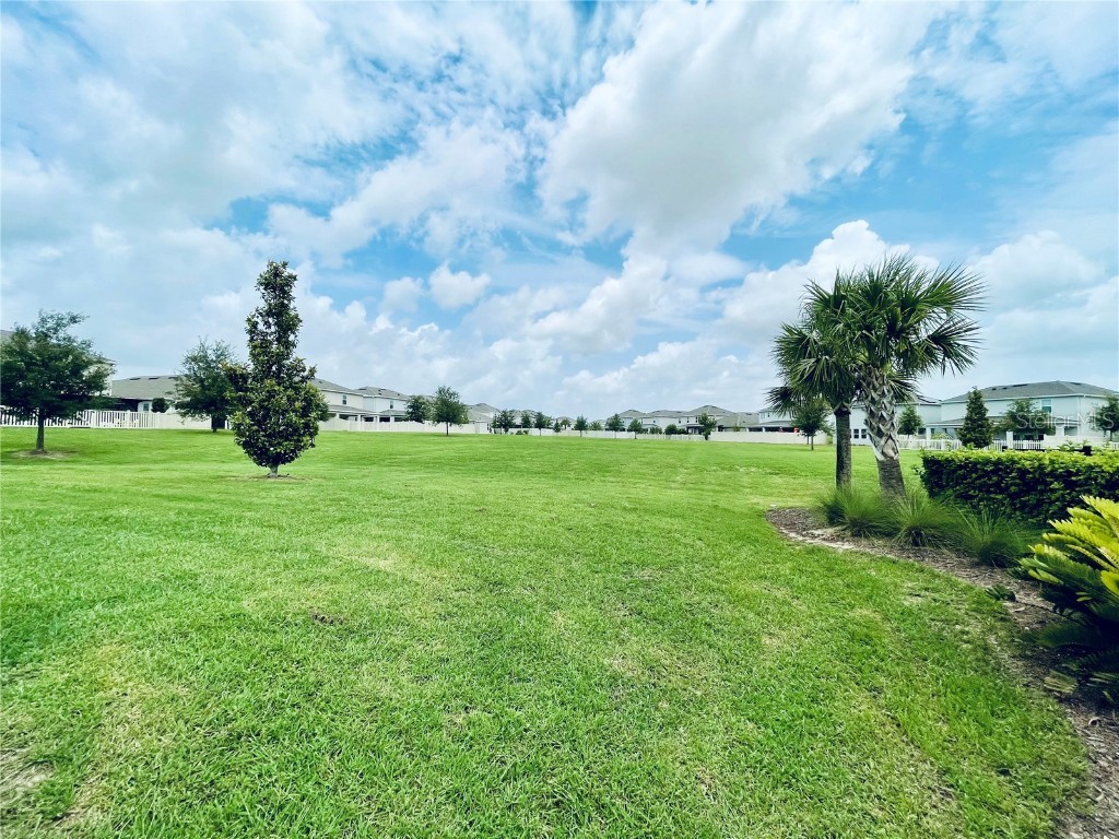 344 Switchgrass Loop Minneola FL 34715 O6312325 image20