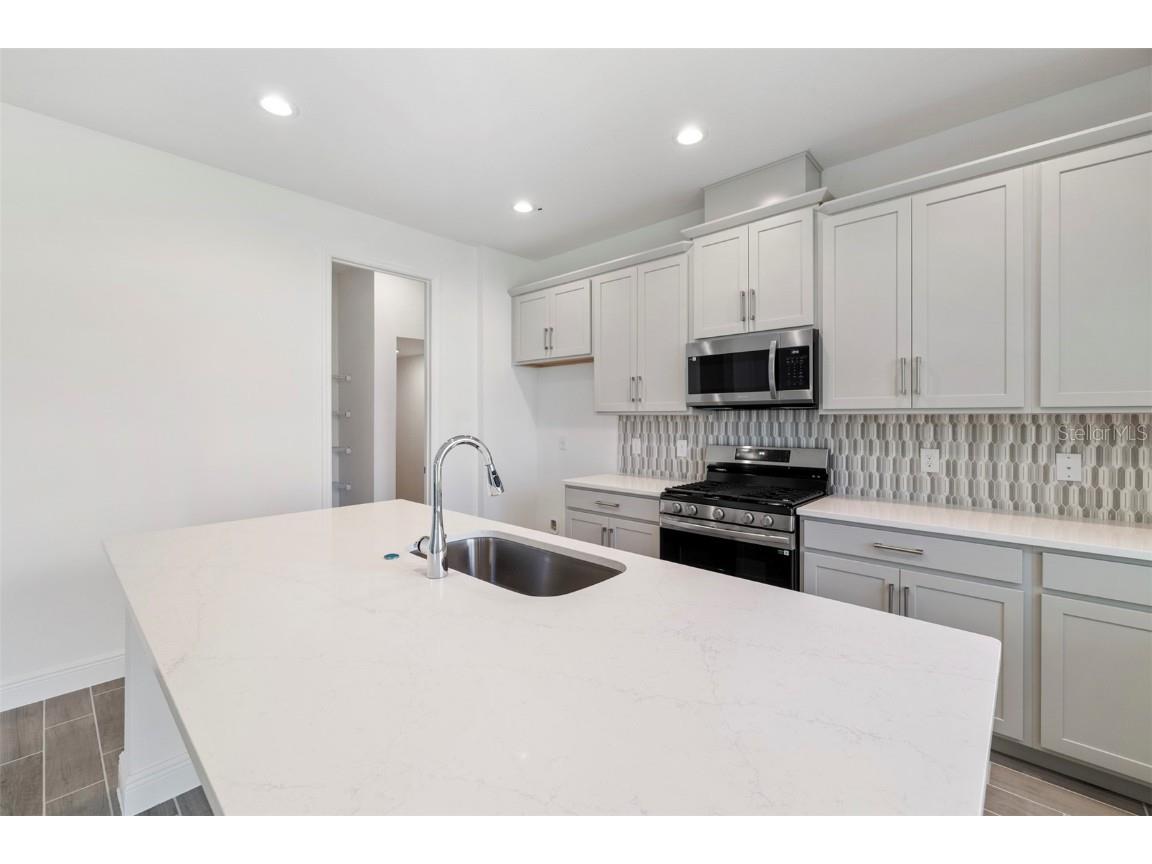 344 Switchgrass Loop Minneola FL 34715 O6312325 image4