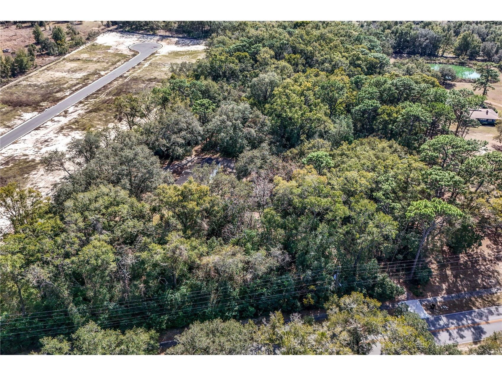 344 W Ponkan Road Apopka FL 32712 O6282477 image11