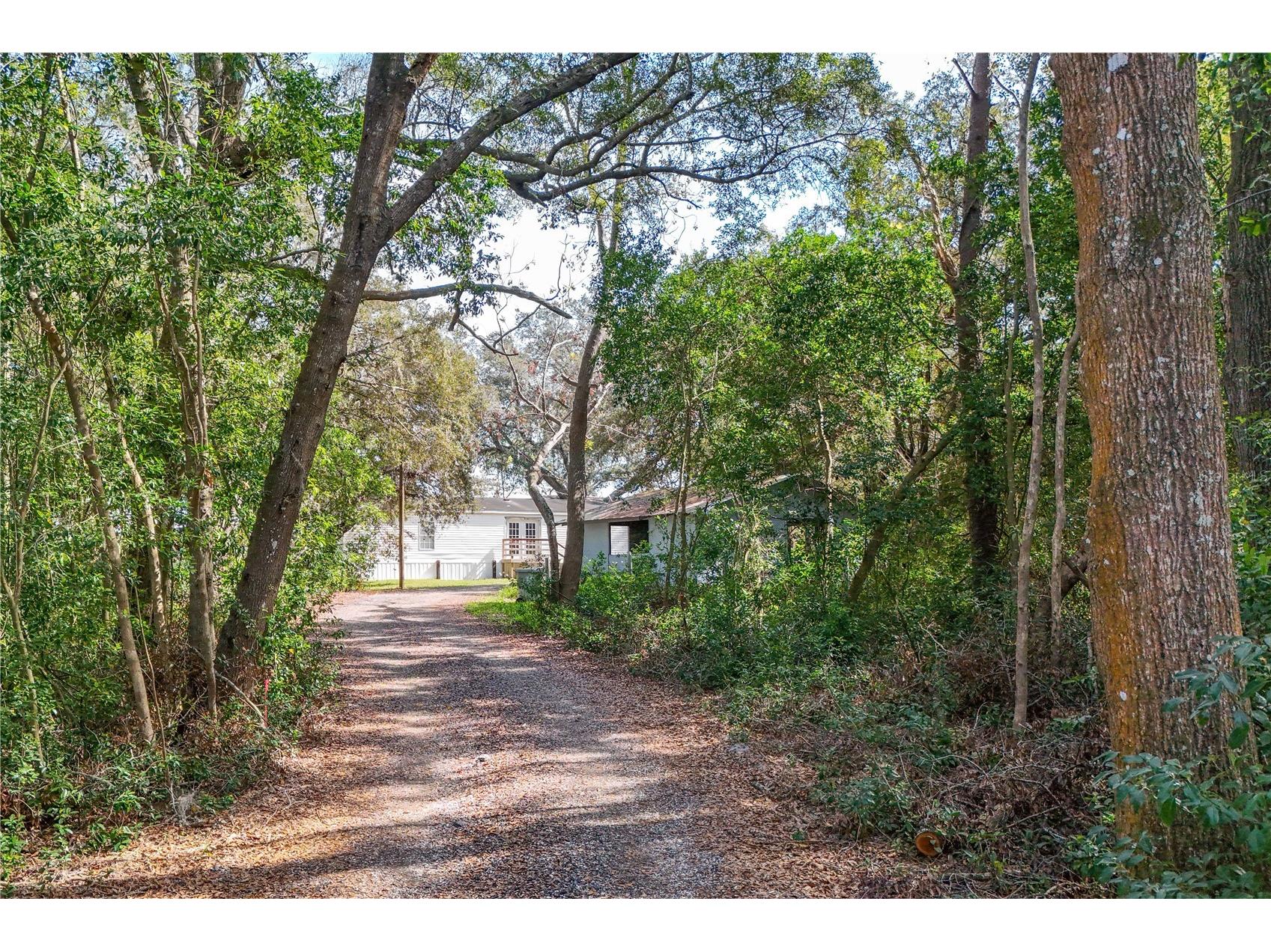 344 W Ponkan Road Apopka FL 32712 O6282477 image14