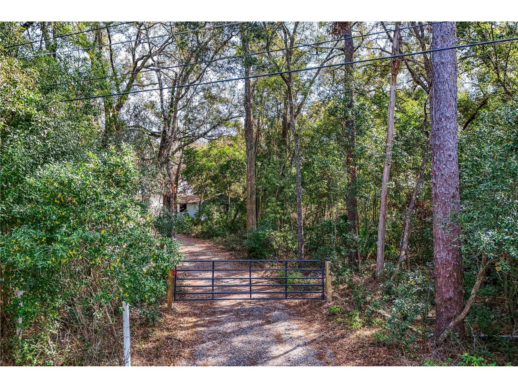344 W Ponkan Road Apopka FL 32712 O6282477 image15