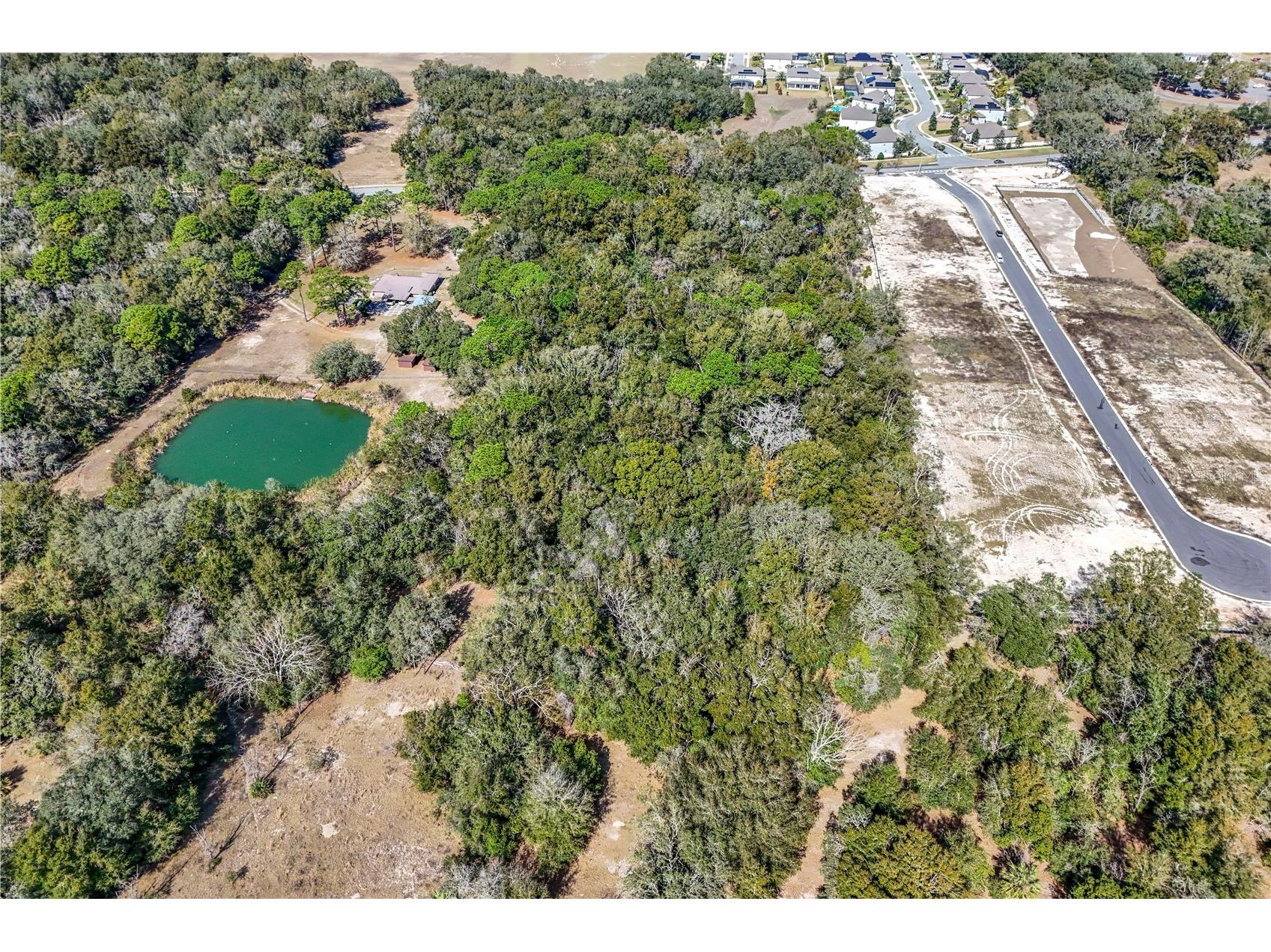 344 W Ponkan Road Apopka FL 32712 O6282477 image8