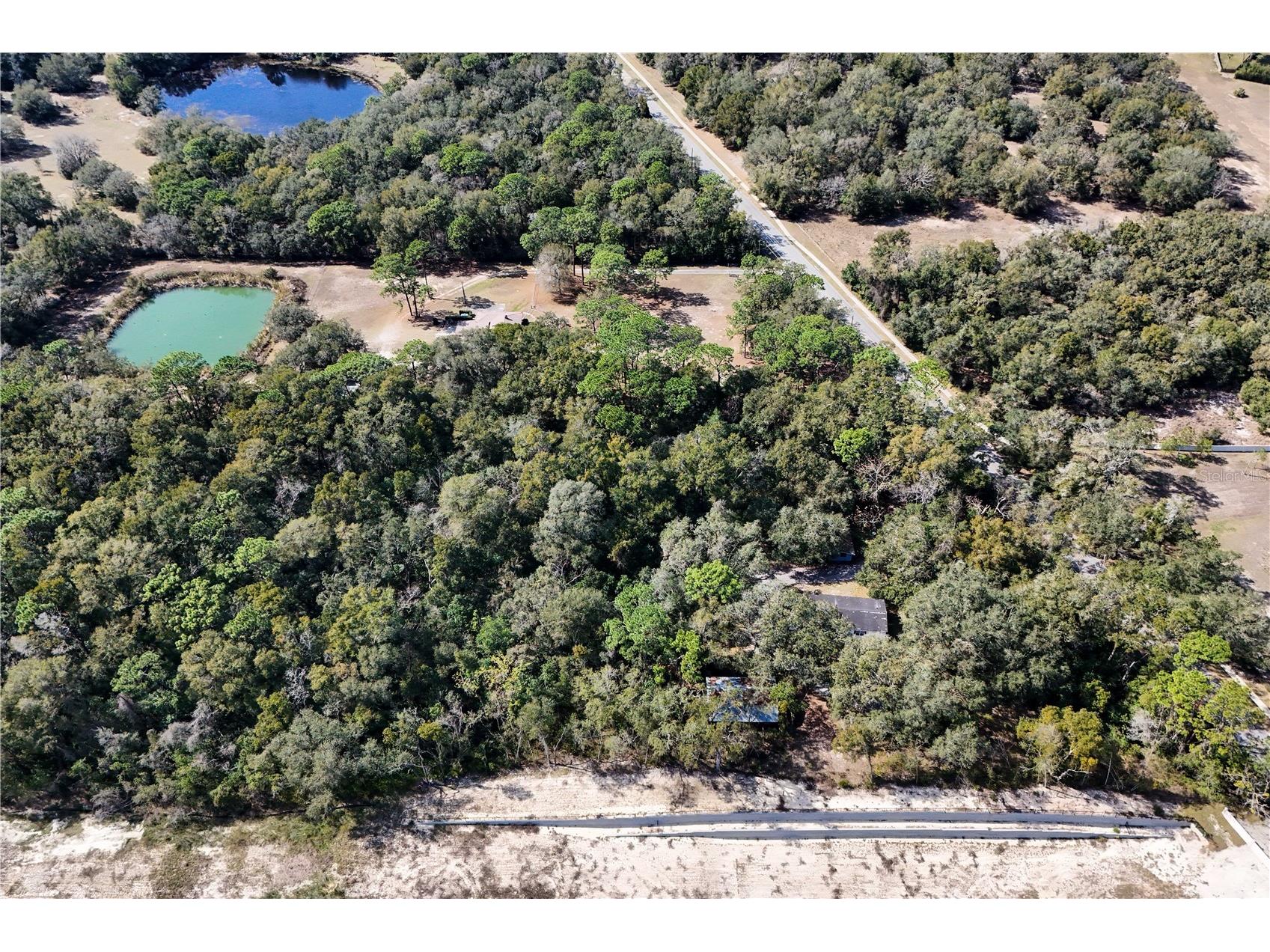 344 W Ponkan Road Apopka FL 32712 O6282477 image9