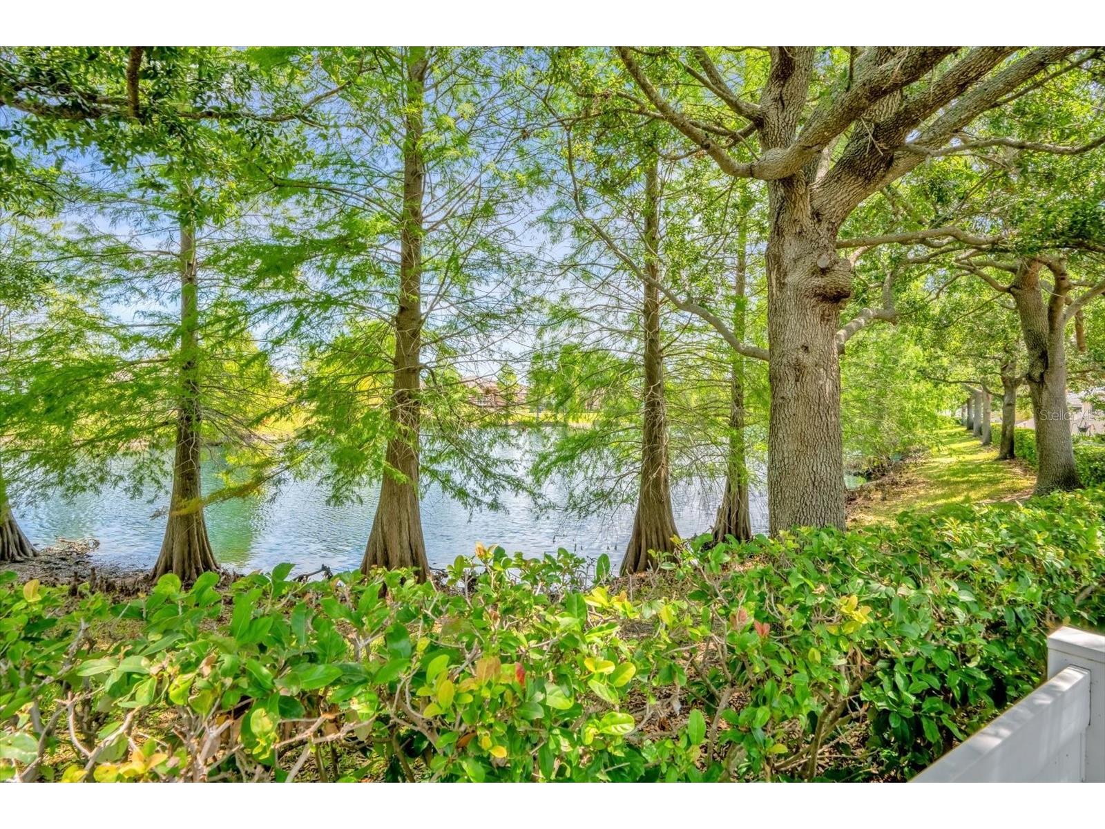 3440 Grenville Drive Winter Haven FL 33884 - LAKE RUBY O6401312 image21