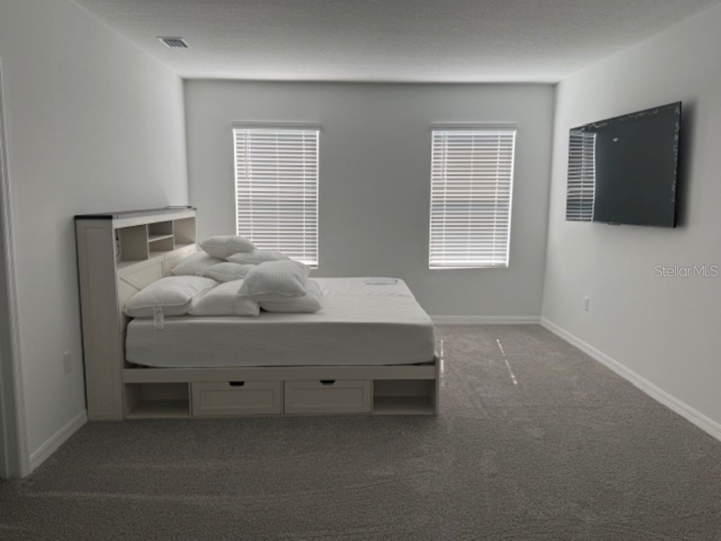 3440 Ivy Hollow Drive Plant City FL 33565 TB8450906 image18