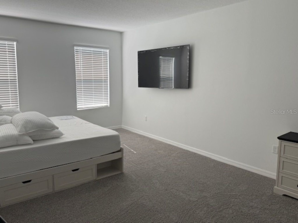 3440 Ivy Hollow Drive Plant City FL 33565 TB8450906 image19