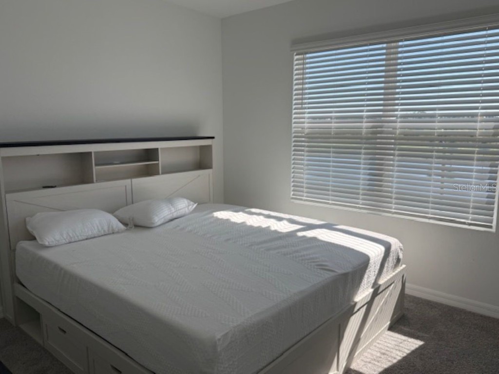 3440 Ivy Hollow Drive Plant City FL 33565 TB8450906 image25