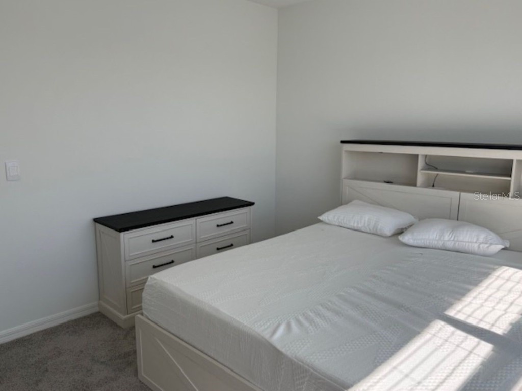 3440 Ivy Hollow Drive Plant City FL 33565 TB8450906 image26