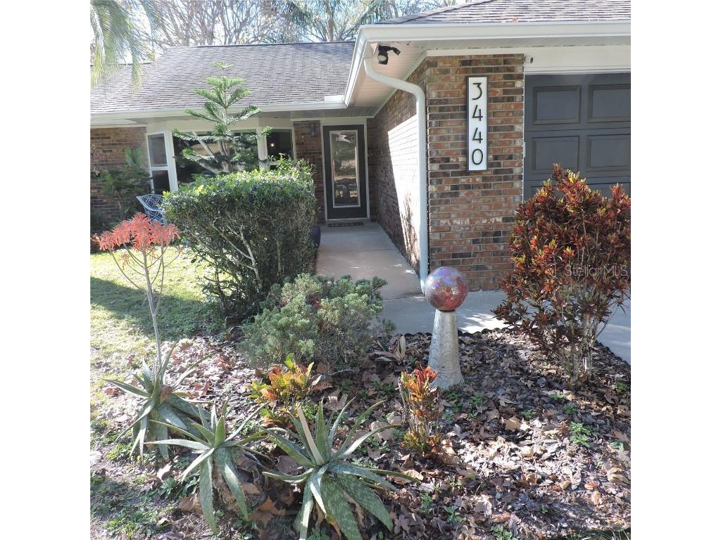 3440 Mary Lane Mount Dora FL 32757 O6166977 image1