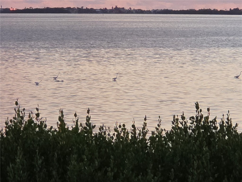 3440 Wild Oak Bay Boulevard #127 Bradenton FL 34210 - SARASOTA BAY A4660592 image36