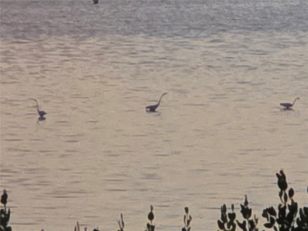 3440 Wild Oak Bay Boulevard #127 Bradenton FL 34210 - SARASOTA BAY A4660592 image37