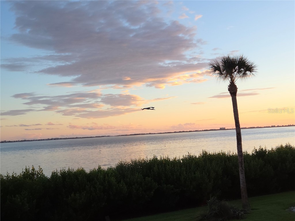 3440 Wild Oak Bay Boulevard #127 Bradenton FL 34210 - SARASOTA BAY A4660592 image38