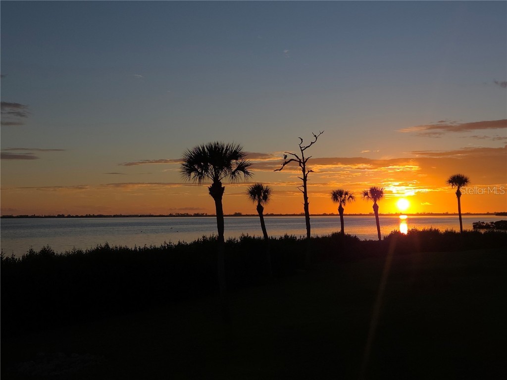 3440 Wild Oak Bay Boulevard #127 Bradenton FL 34210 - SARASOTA BAY A4660592 image40