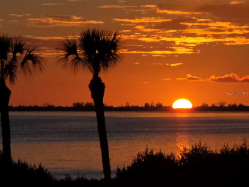 3440 Wild Oak Bay Boulevard #127 Bradenton FL 34210 - SARASOTA BAY A4660592 image41