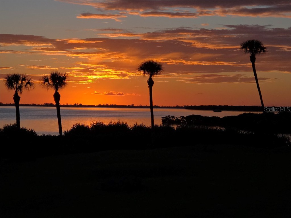 3440 Wild Oak Bay Boulevard #127 Bradenton FL 34210 - SARASOTA BAY A4660592 image43