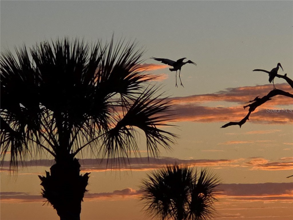 3440 Wild Oak Bay Boulevard #127 Bradenton FL 34210 - SARASOTA BAY A4660592 image5