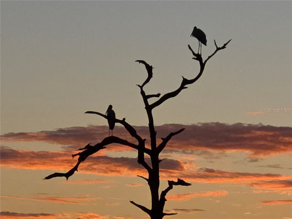 3440 Wild Oak Bay Boulevard #127 Bradenton FL 34210 - SARASOTA BAY A4660592 image6