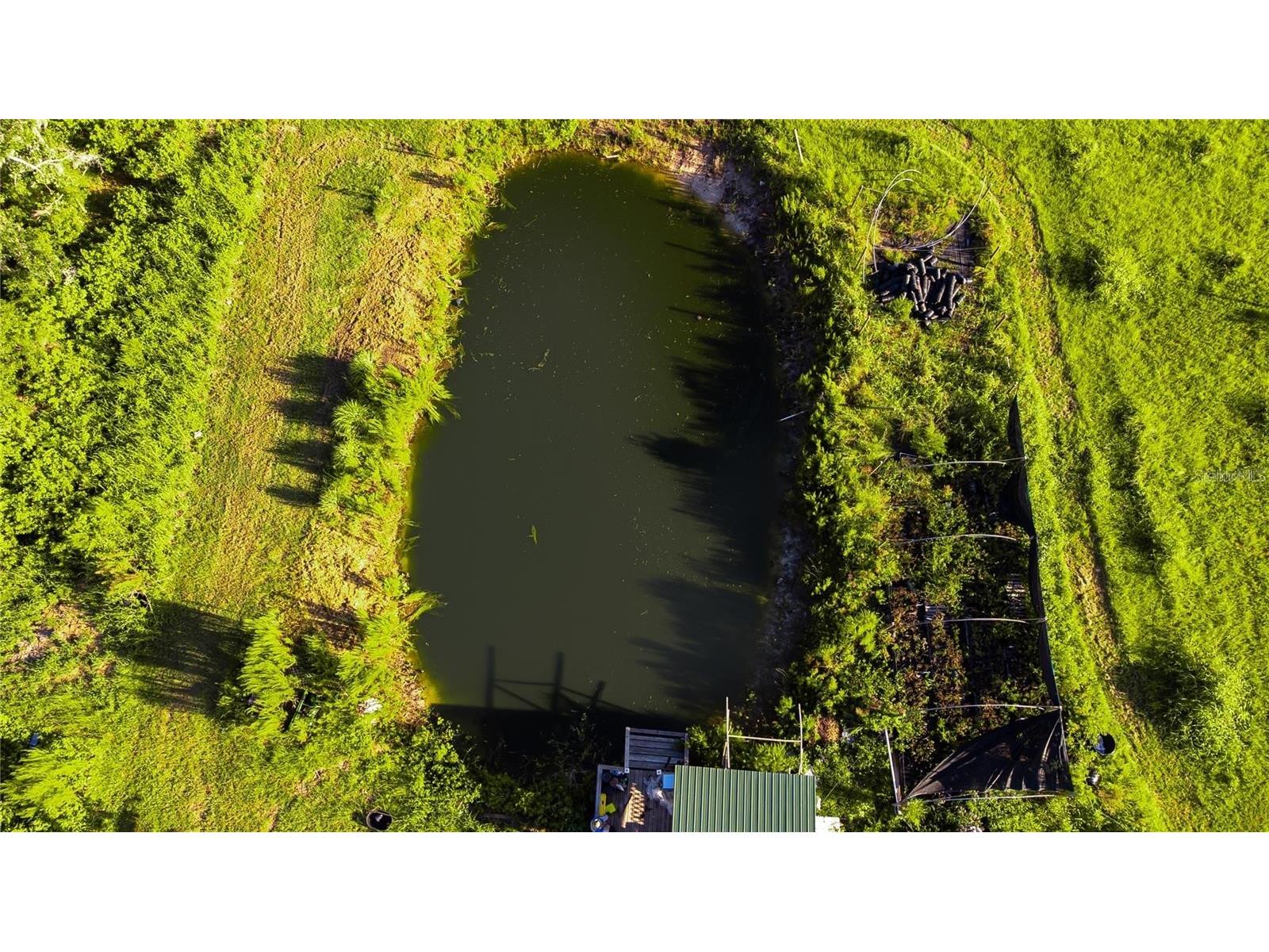 34400 Sr-62 Parrish FL 34219 TB8465086 image2