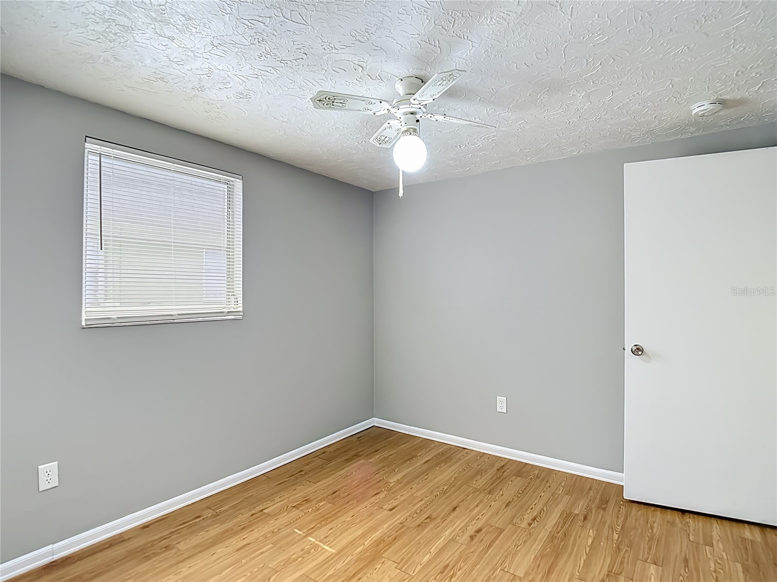 3441 Eisenhower Drive Holiday FL 34691 C7526690 image37