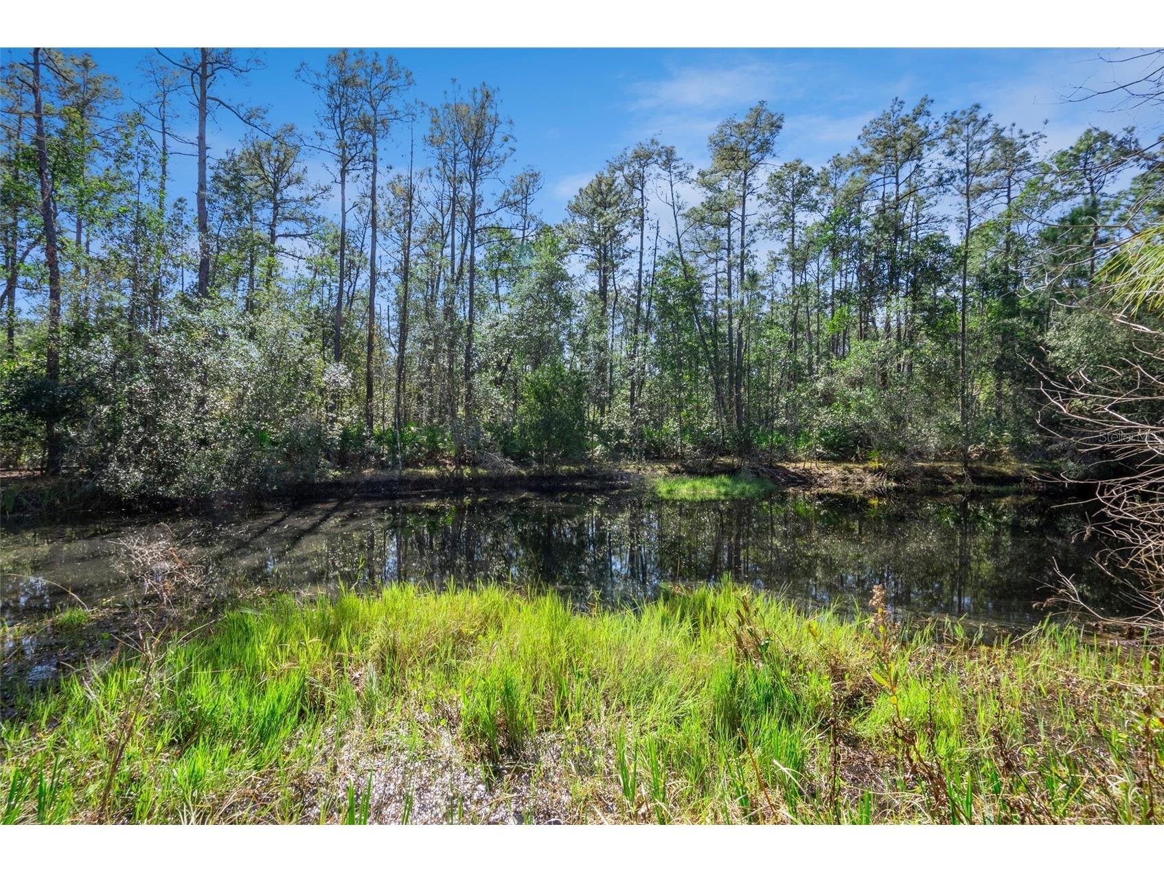 3441 Hickory Creek Road Deltona FL 32738 O6378974 image50