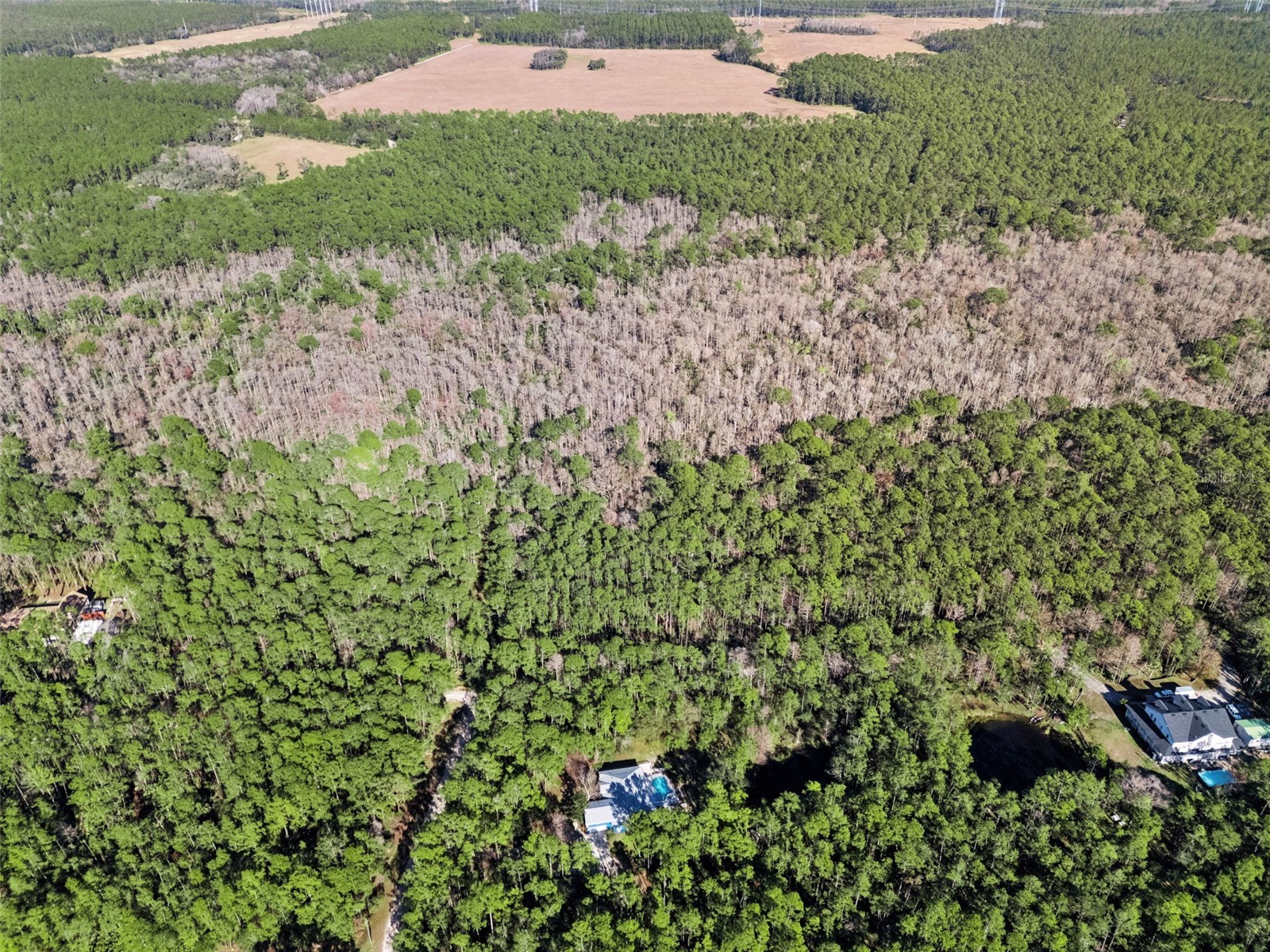 3441 Hickory Creek Road Deltona FL 32738 O6378974 image58