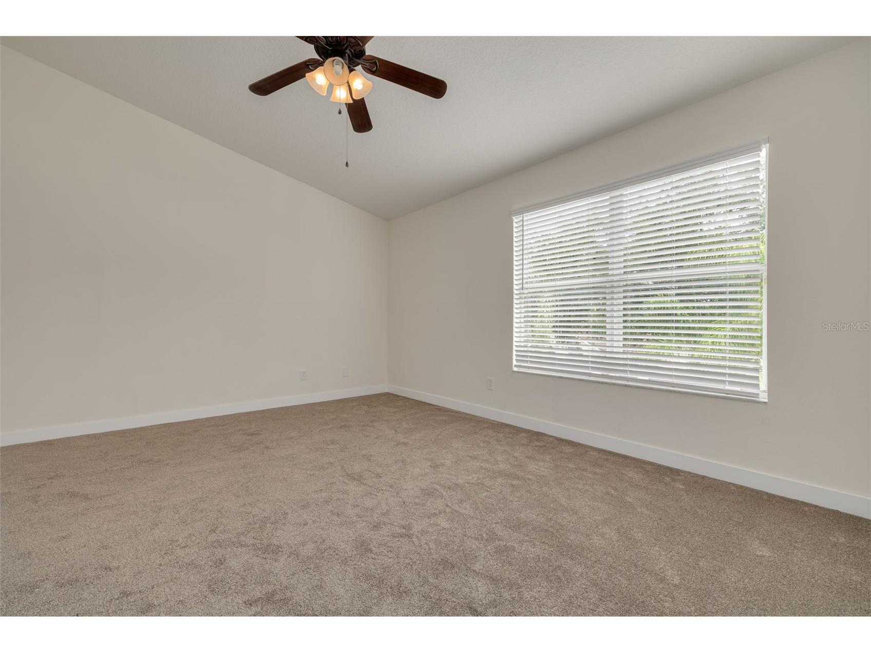 3441 Red Rock Drive Land O Lakes FL 34638 TB8515258 image17