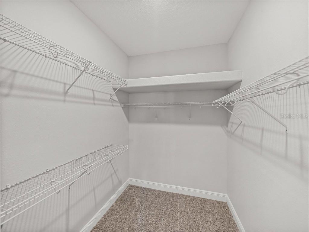 34411 Sahalee Loop Dade City FL 33525 TB8361113 image36