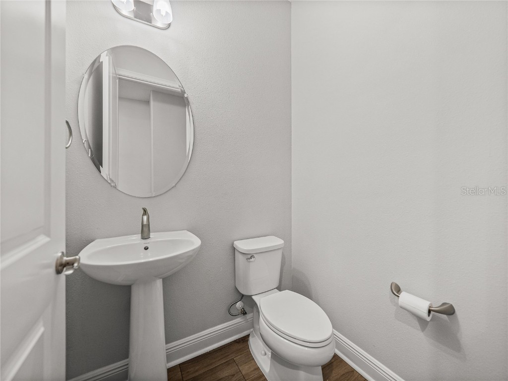 34411 Sahalee Loop Dade City FL 33525 TB8361113 image41