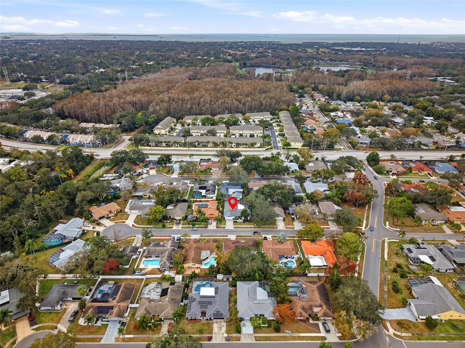 3442 Glossy Ibis Court Palm Harbor FL 34683 TB8474193 image41