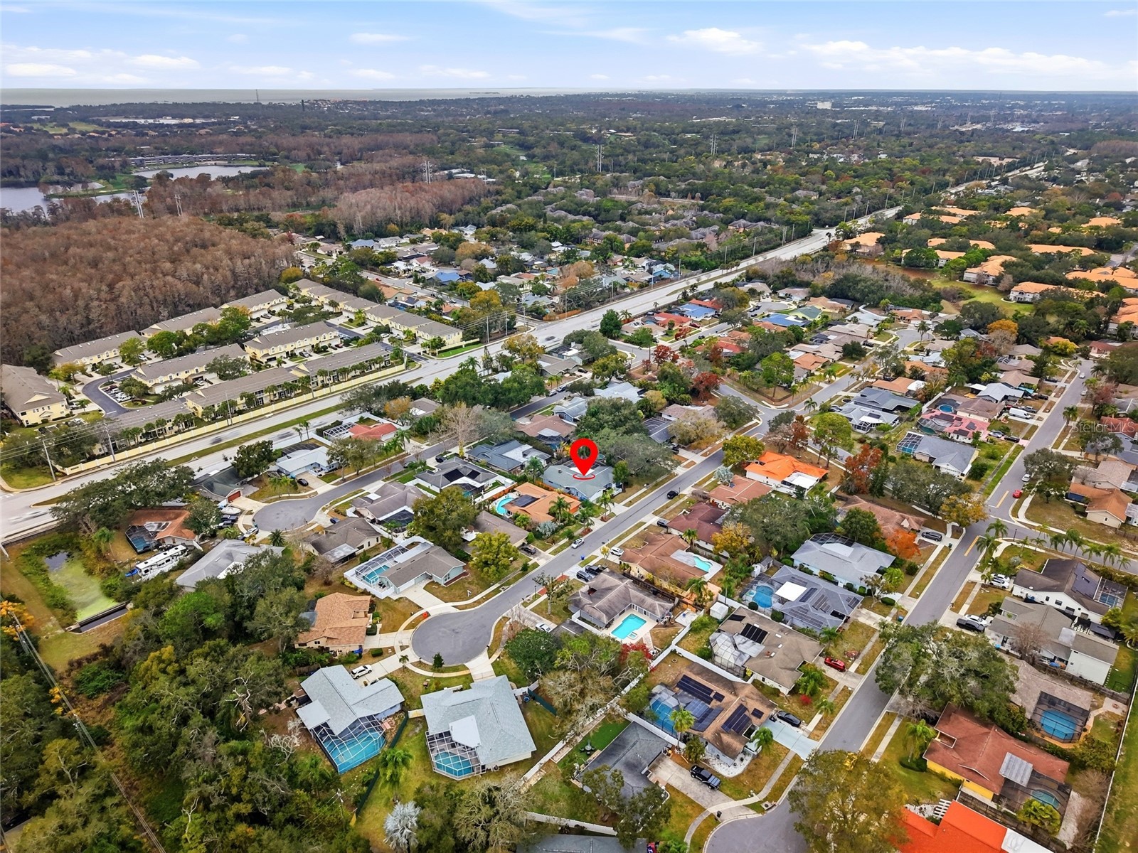 3442 Glossy Ibis Court Palm Harbor FL 34683 TB8474193 image42