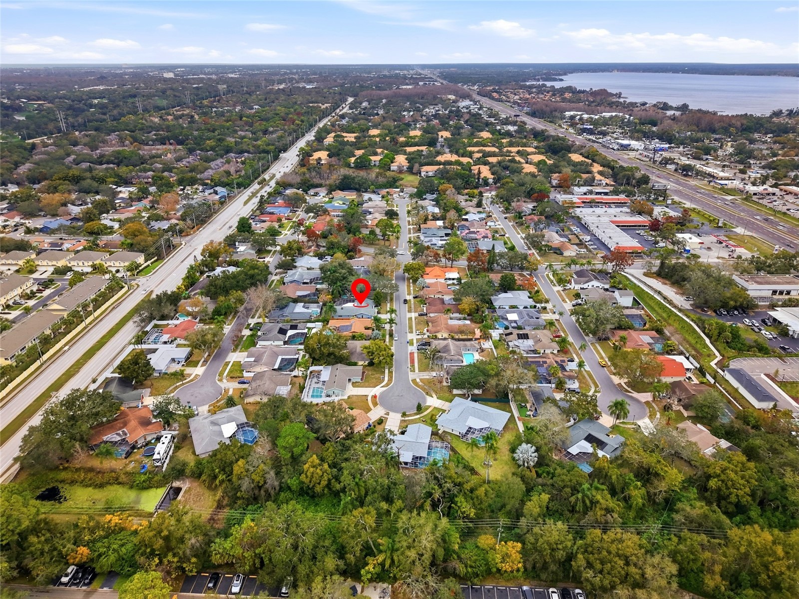3442 Glossy Ibis Court Palm Harbor FL 34683 TB8474193 image43