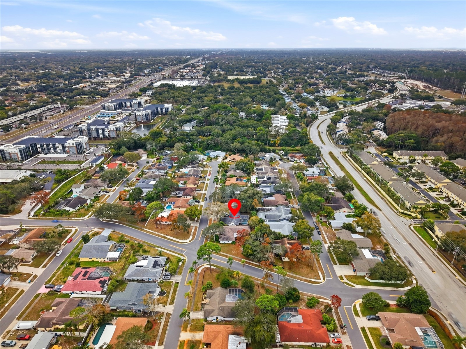 3442 Glossy Ibis Court Palm Harbor FL 34683 TB8474193 image46