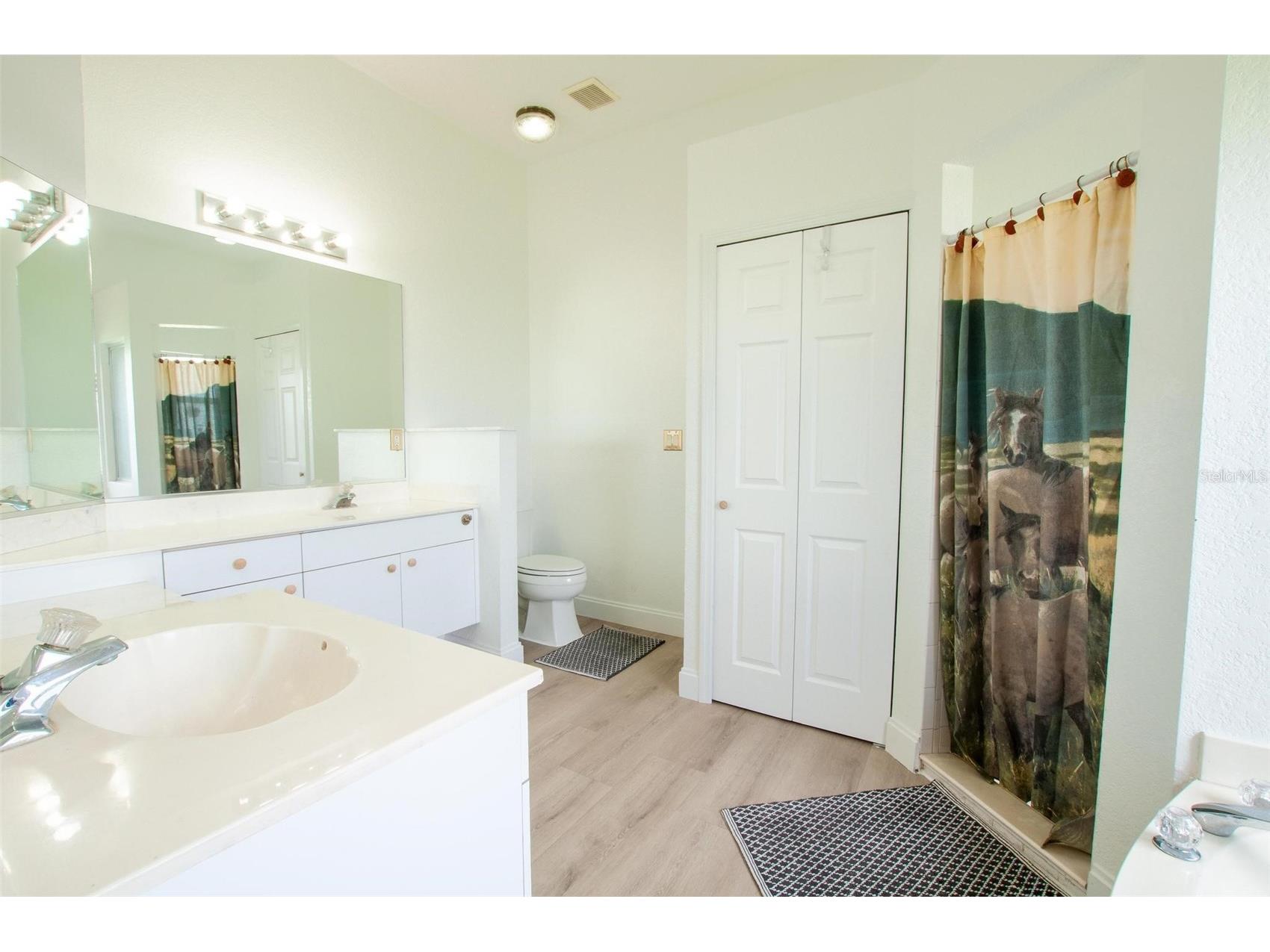 3442 NE Appaloosa Street Arcadia FL 34266 A4696201 image14