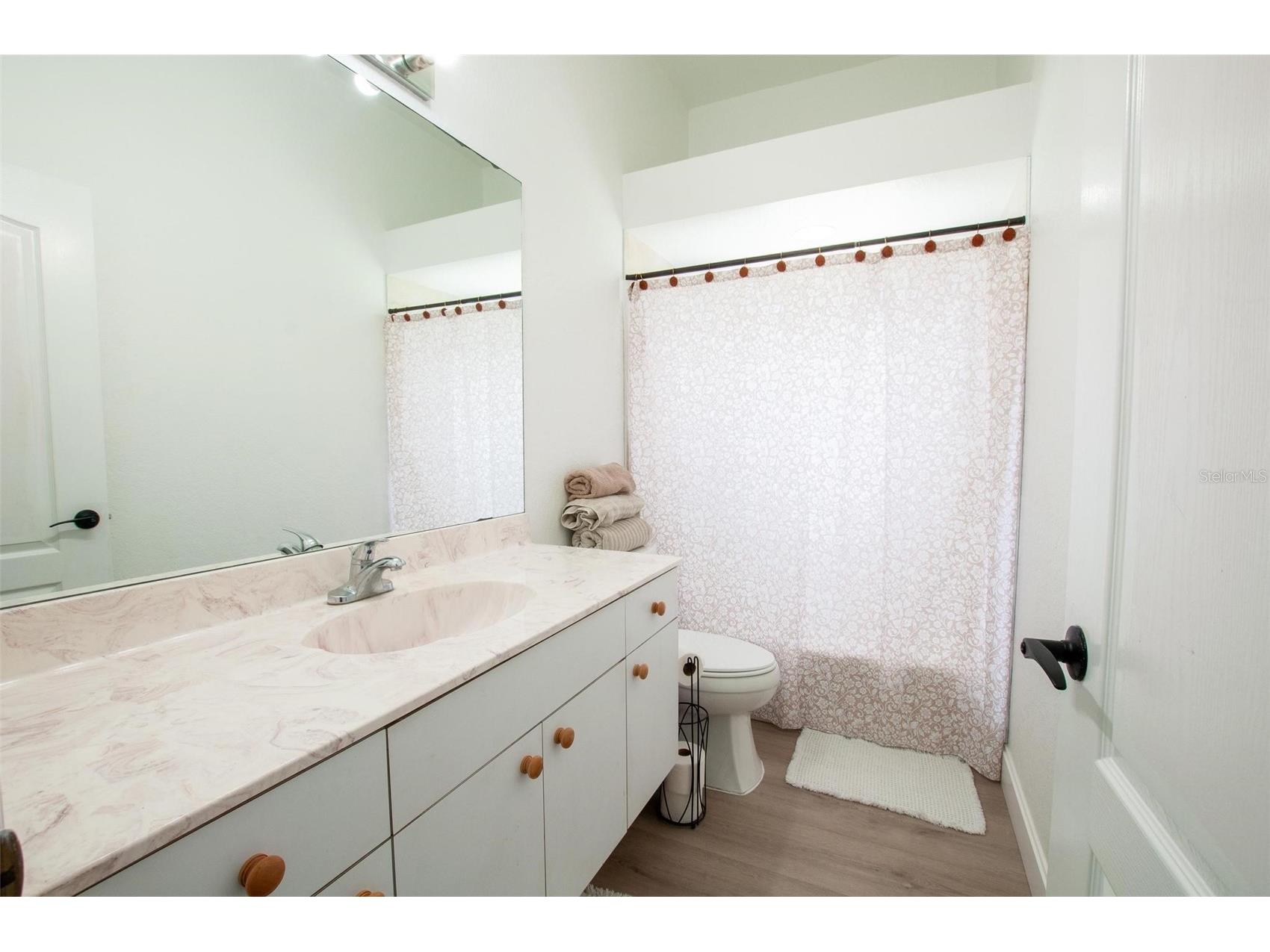 3442 NE Appaloosa Street Arcadia FL 34266 A4696201 image22