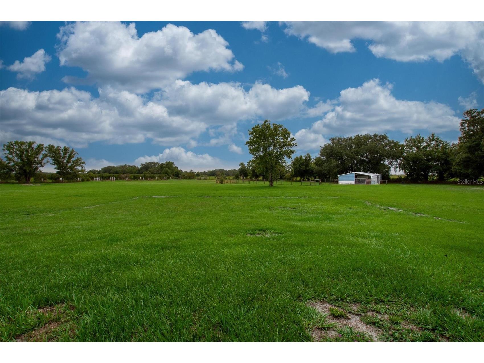 3442 NE Appaloosa Street Arcadia FL 34266 A4696201 image27